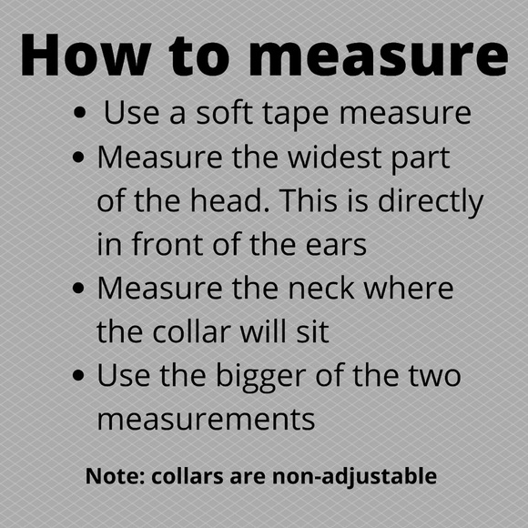 Designer Dog Necklaces - Picture 11 of 13